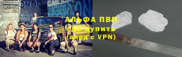 крисы Касимов