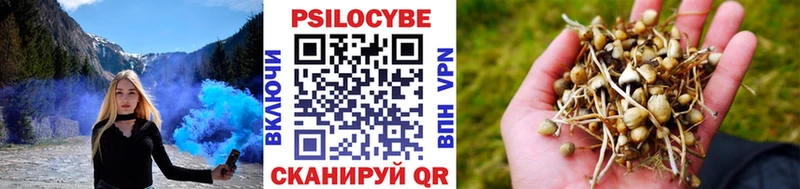 Галлюциногенные грибы Magic Shrooms Кадников