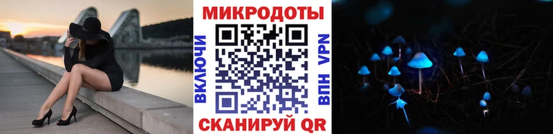 Купить где  Кадников  Псилоцибиновые грибы Psilocybine cubensis 